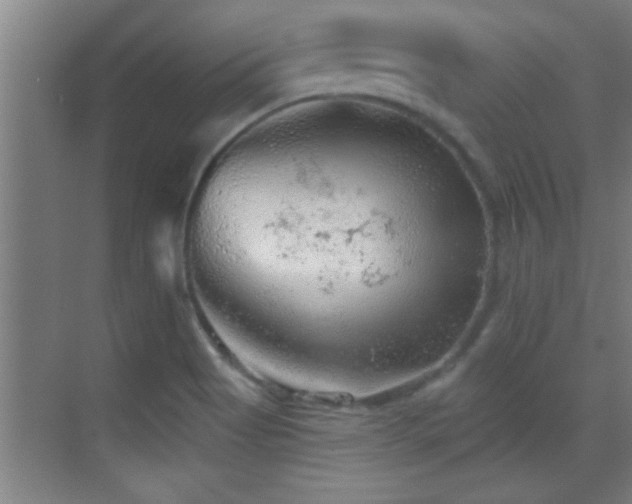 X0000069791513200605191025