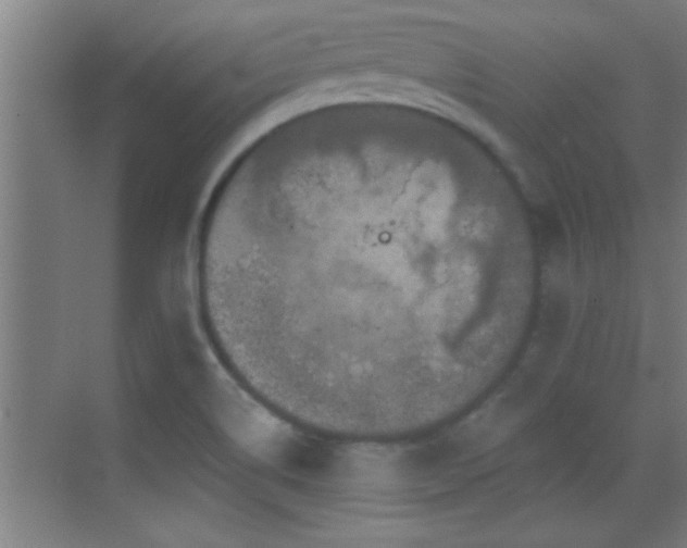 X0000069791514200605191025