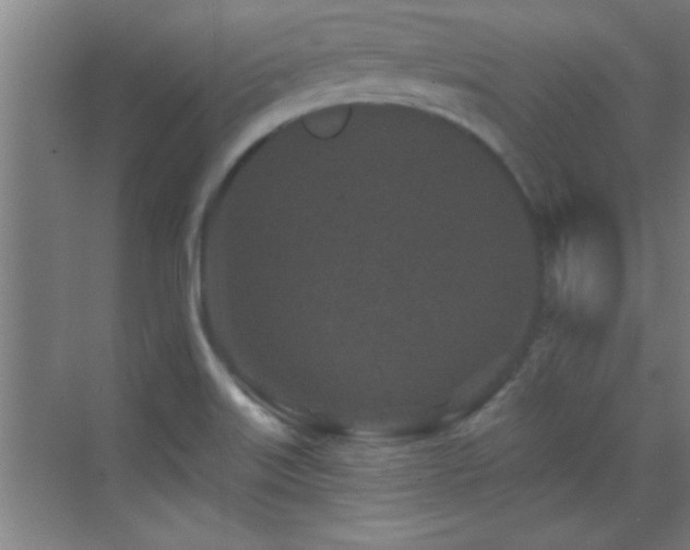 X0000069791515200605191025