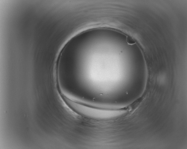 X0000069791516200605191025