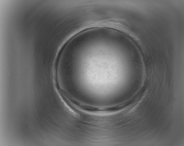 X0000069791517200605191025