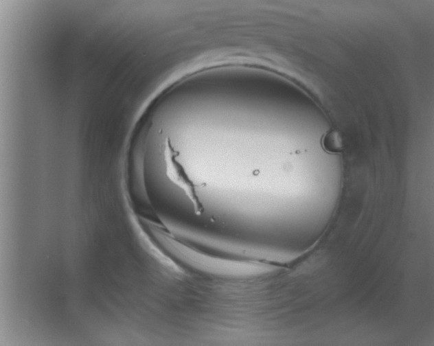 X0000069791518200605191025