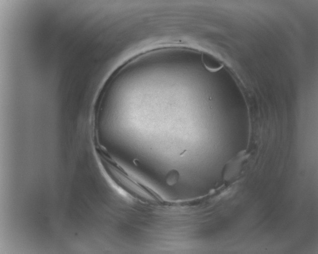 X0000069791519200605191025