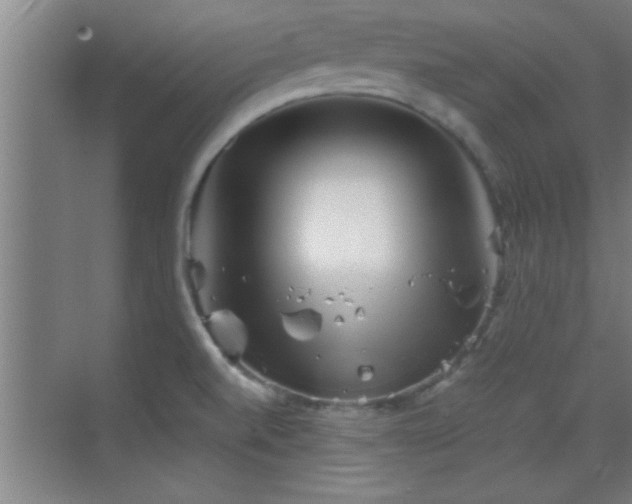 X0000069791520200605191025