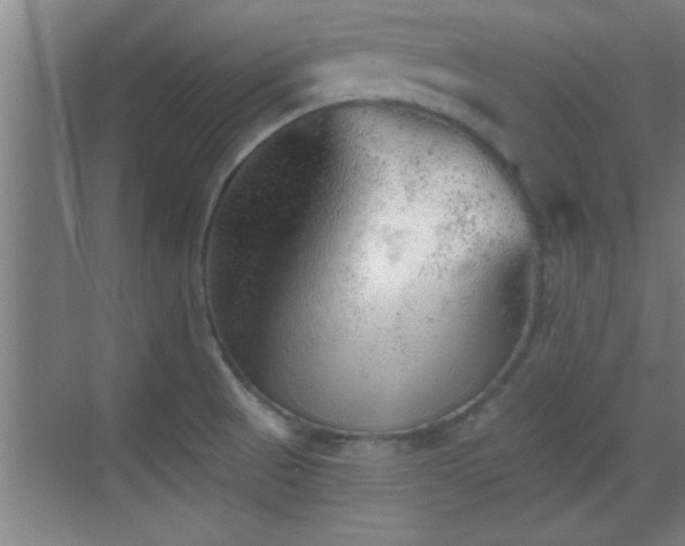 X0000069791521200605191025