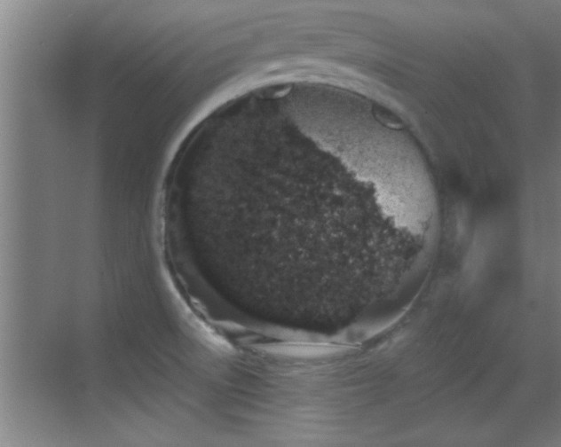 X0000069791522200605191025