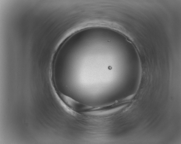 X0000069791523200605191025