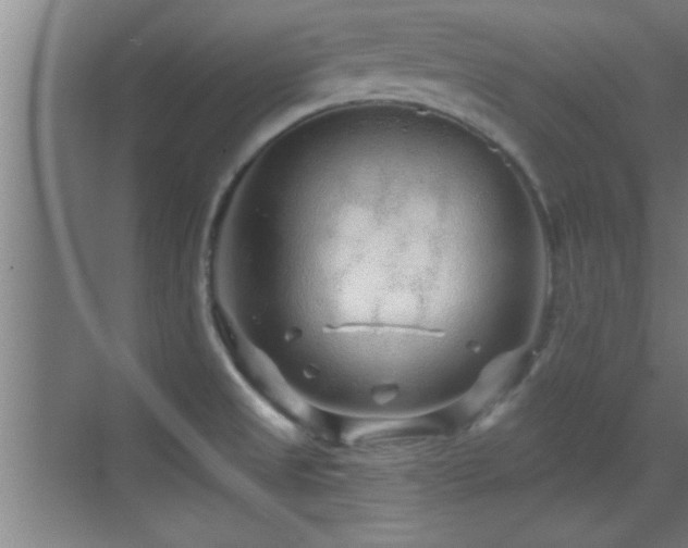 X0000069791525200605191025