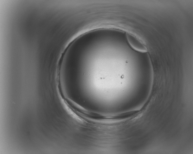 X0000069791526200605191025