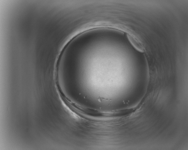 X0000069791527200605191025