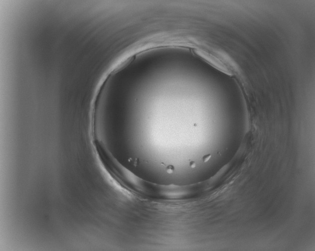 X0000069791528200605191025