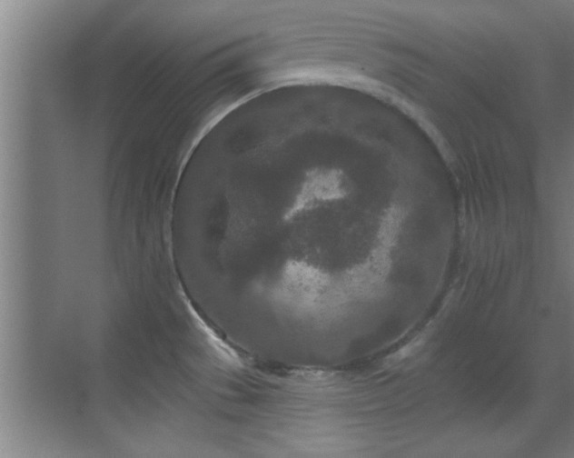 X0000069791529200605191025