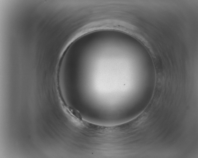 X0000069791530200605191025