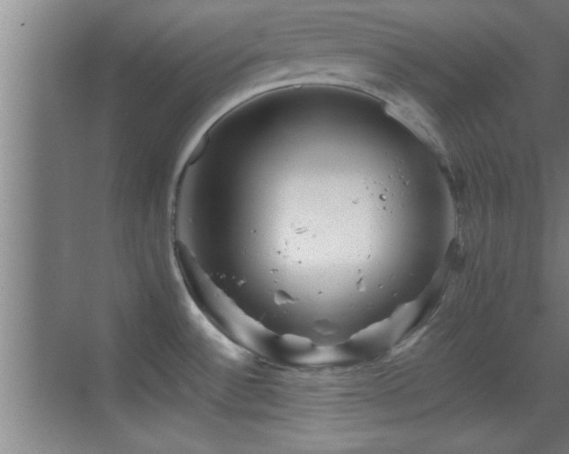 X0000069791532200605191025