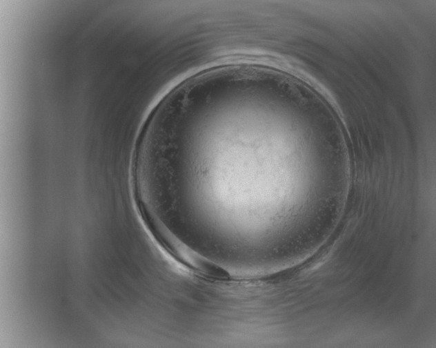 X0000069791533200605191025