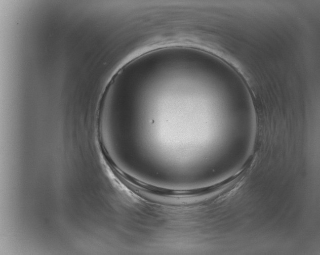 X0000069791534200605191025