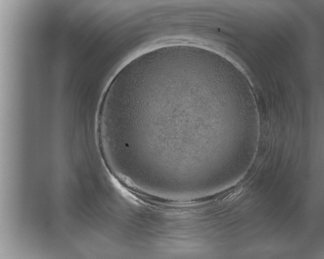 X0000069791535200605191025