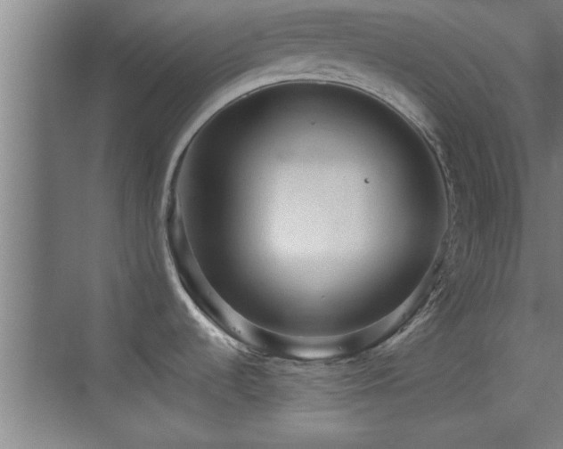 X0000069791536200605191025