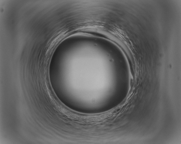 X0000069790001200605221126