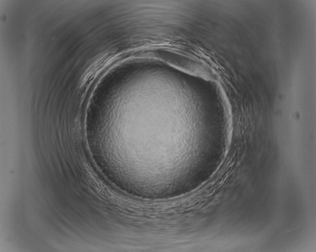 X0000069790002200605221126