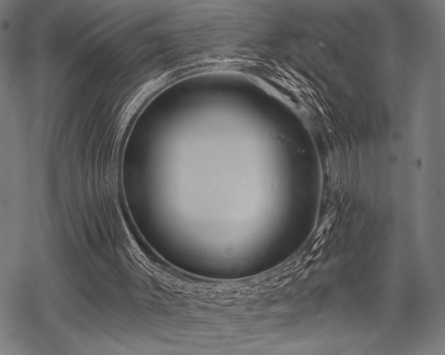 X0000069790003200605221126