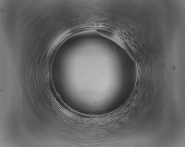 X0000069790005200605221126