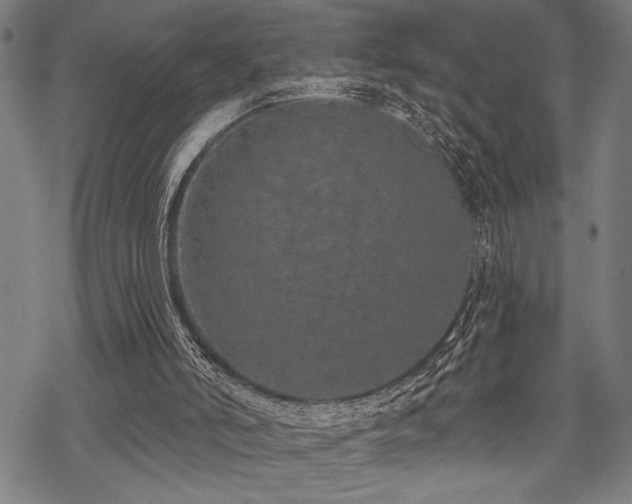 X0000069790006200605221126