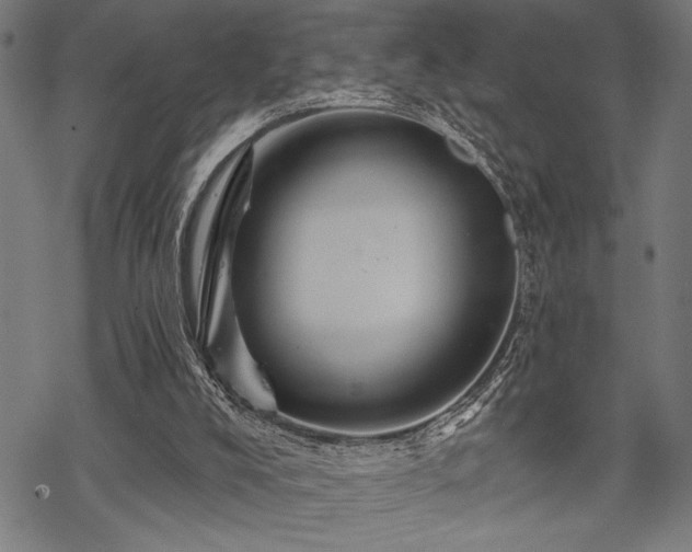 X0000069790008200605221126