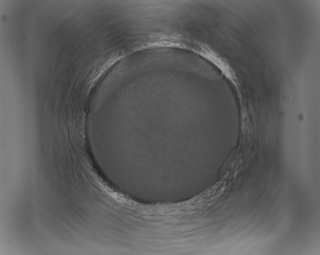 X0000069790009200605221126