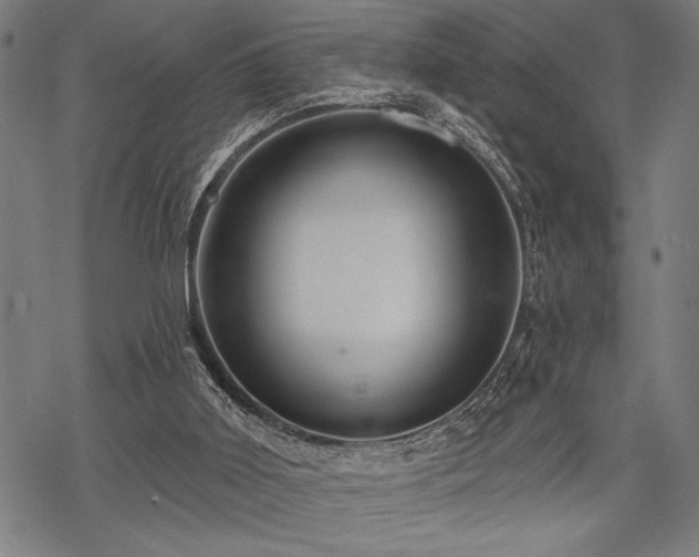 X0000069790011200605221126