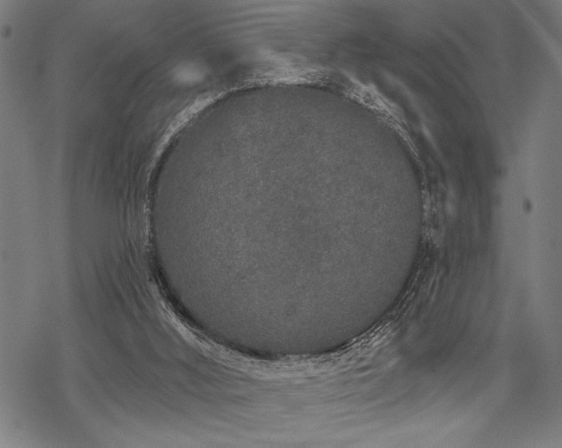 X0000069790012200605221126