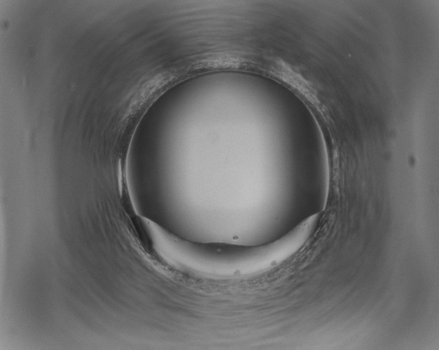 X0000069790013200605221126