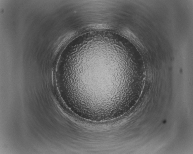 X0000069790014200605221126