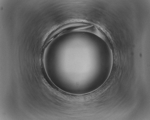 X0000069790015200605221126