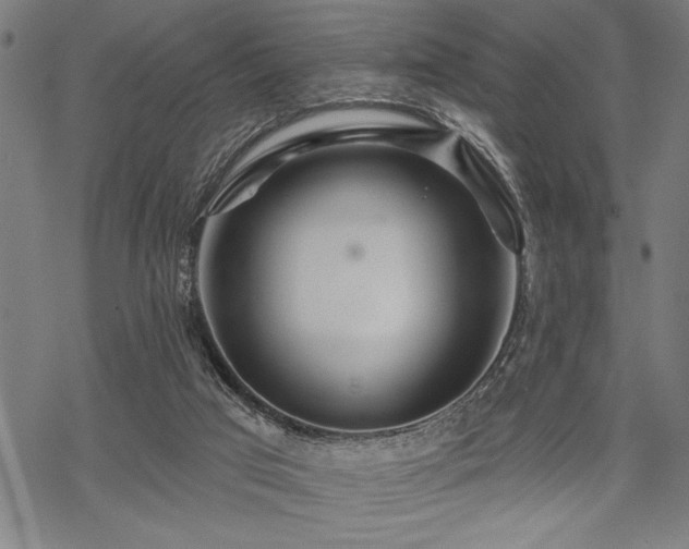 X0000069790017200605221126