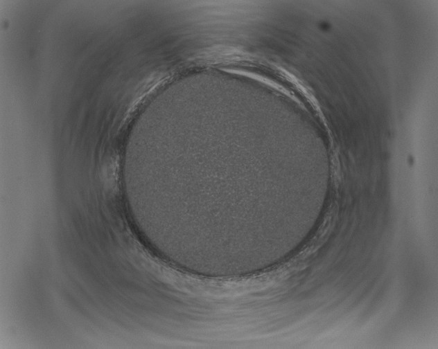 X0000069790018200605221126