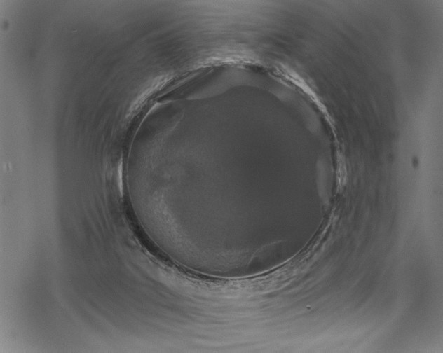 X0000069790019200605221126