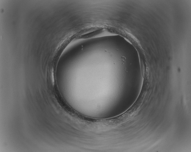 X0000069790020200605221126