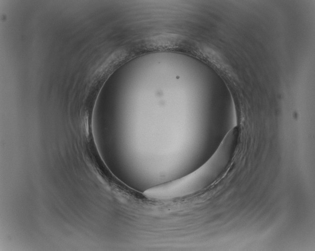 X0000069790021200605221126