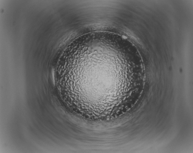 X0000069790022200605221126