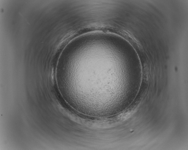 X0000069790024200605221126