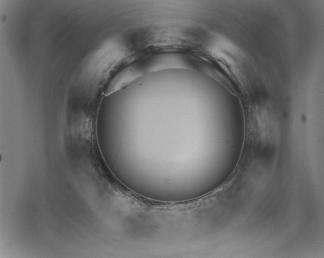 X0000069790025200605221126