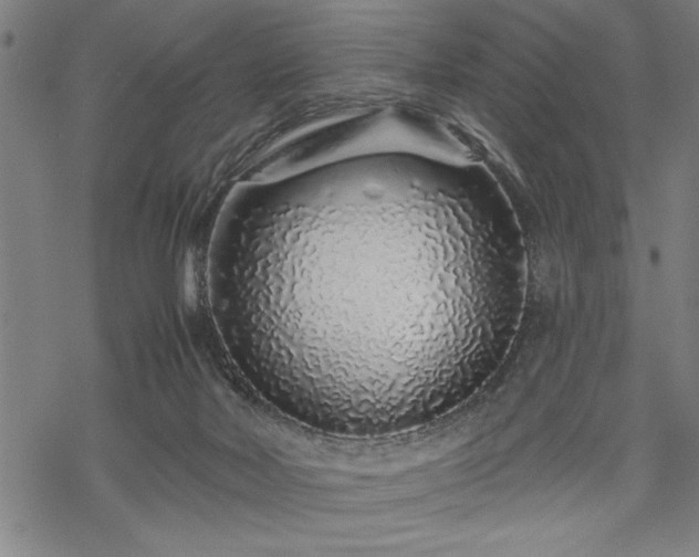 X0000069790026200605221126