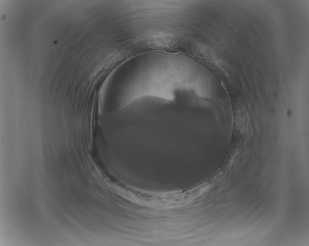 X0000069790027200605221126