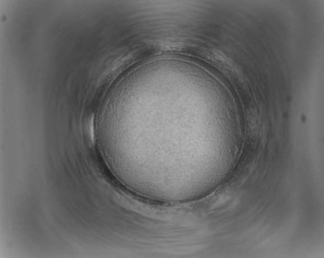 X0000069790028200605221126