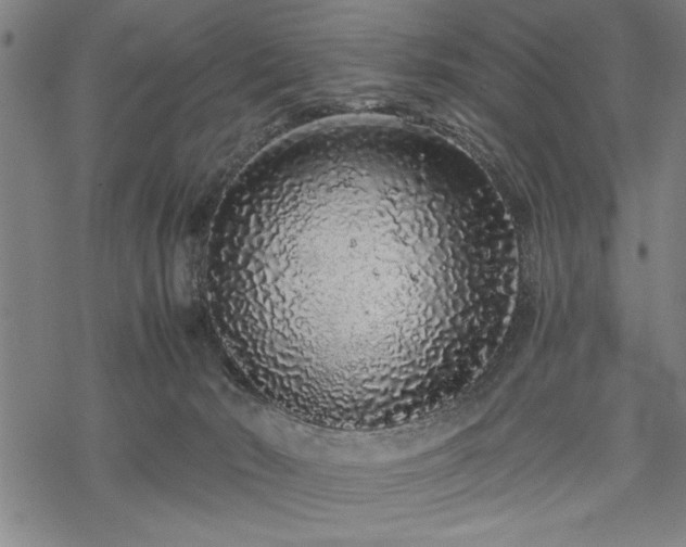 X0000069790030200605221126