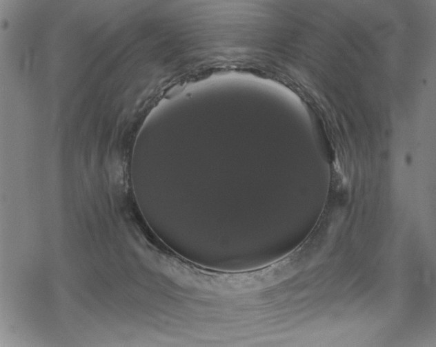 X0000069790031200605221126