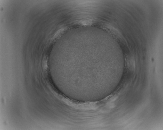 X0000069790032200605221126