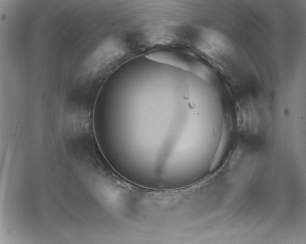 X0000069790033200605221126