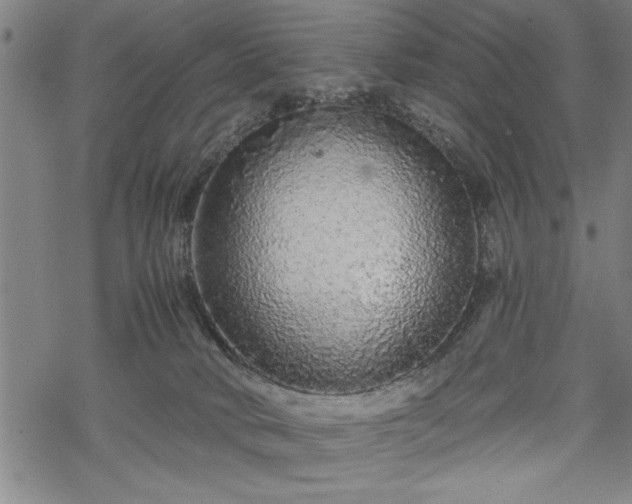 X0000069790034200605221126